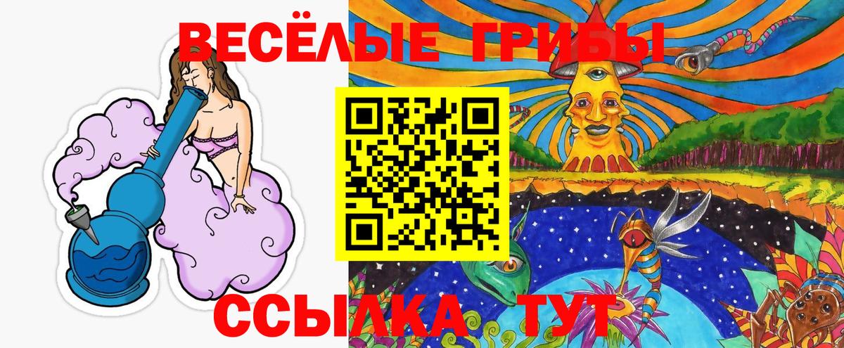 Галлюциногенные грибы Magic Shrooms  Вход с VPN  Киселёвск 